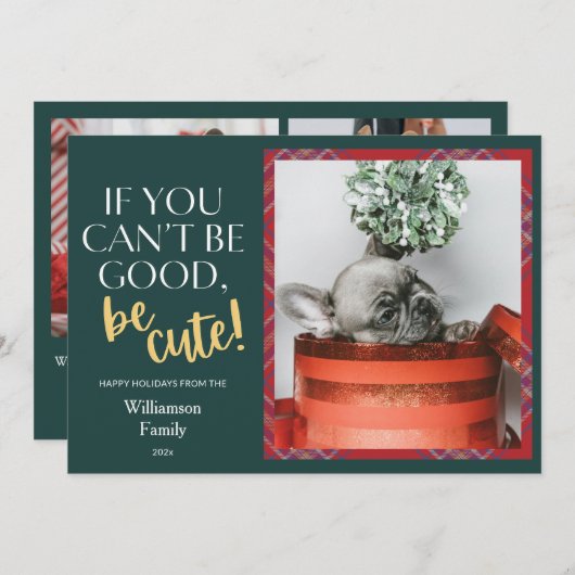 格子模様のクリスマスペットの写真 シーズンカード (正面/裏面)