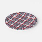 格子模様 ペーパープレート (アングル)