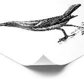 格子状の鳥ヴィンテージスケッチ フォトプリント            (角)