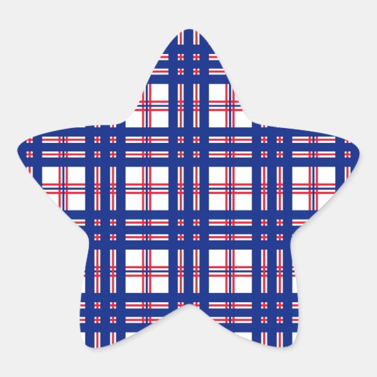 格子状パタモダンーン赤白青 星シール (正面)
