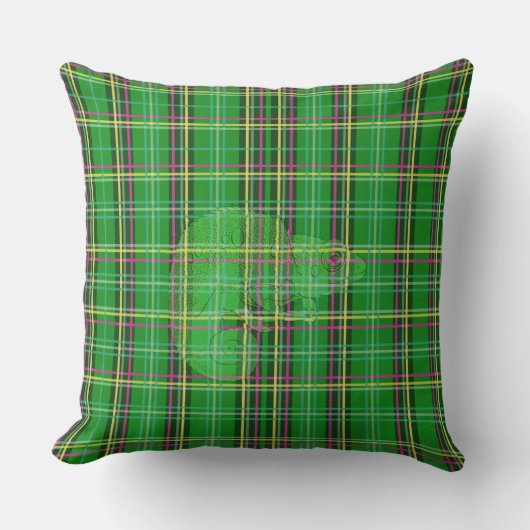 格子縞のカメレオン クッション (正面)