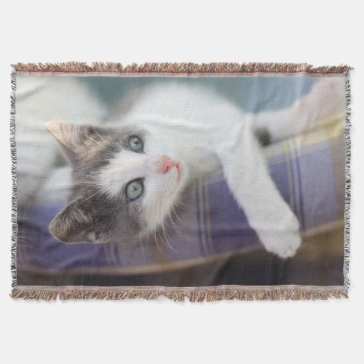 格子縞のベッドの甘い子猫 スローブランケット (正面)