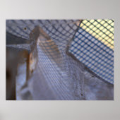 格子縞 ポスター (正面)