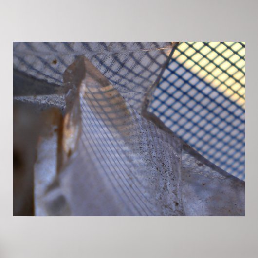 格子縞 ポスター (正面)