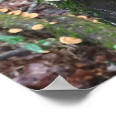 格言と七面鳥 ポスター (角)