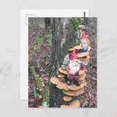 格言と七面鳥 ポストカード (正面/裏面)