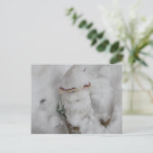 格言の雪。 ポストカード (スタンド正面)