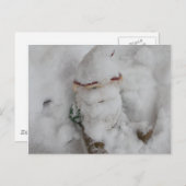 格言の雪。 ポストカード (正面/裏面)