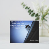 格言25 24キャットオンアルーフミーム ポストカード (スタンド正面)