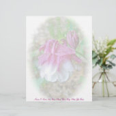 栽培の コロンビア ワイルド コロンビア ピンク レターヘッド (スタンド正面)