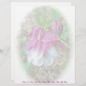 栽培の コロンビア ワイルド コロンビア ピンク レターヘッド (正面/裏面)