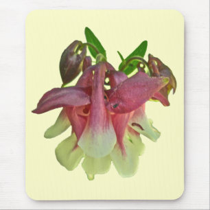栽培オダマキ(植物)マウスパッド マウスパッド