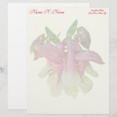 栽培オダマキ（植物）レターヘッドイエロー レターヘッド (正面/裏面)