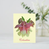 栽培オダマキ（植物）葉書 ポストカード (スタンド正面)