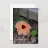 桃かわいらし園花 ノートカード (正面/裏面)