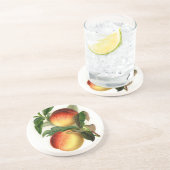 桃かわいらし属 コースター (側面)