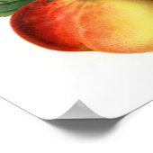 桃かわいらし属 ポスター (角)