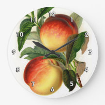 桃かわいらし属