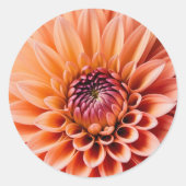 桃のうねり色の羽 ラウンドシール (正面)