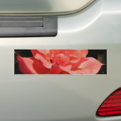 桃のバラと露 バンパーステッカー (車上)