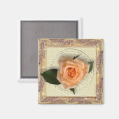 桃のバラのヴィンテージフレーム マグネット (正面/裏面)