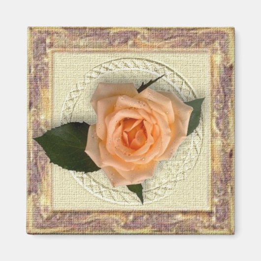 桃のバラのヴィンテージフレーム マグネット (正面)