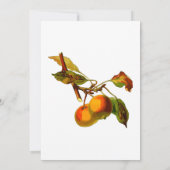 桃のブライダルシャワー招待 招待状 (裏面)