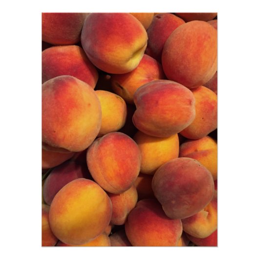 桃の写真ポスター ポスター (正面)