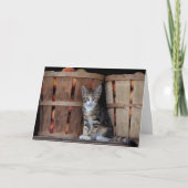 桃の子ネコ幸せな母の日 カード (正面)