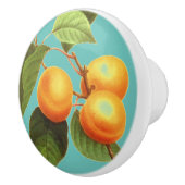 桃の実 セラミックノブ (右)