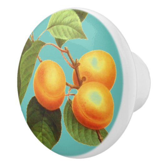 桃の実 セラミックノブ (右)