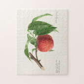 桃の小枝（Prunus Persica）果物の絵 ジグソーパズル (縦)