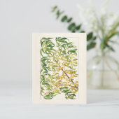 桃の枝 (Prunus Persica) 絵画 ポストカード (スタンド正面)