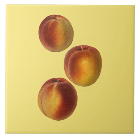 桃の植物性～キッチン～任意の色の背景 タイル (正面)