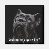 桃の磁石 マグネット (正面)