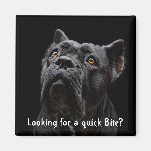 桃の磁石 マグネット (正面)