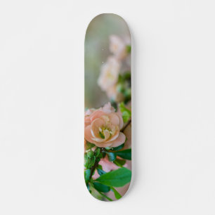 桃の花の香り スケートボード