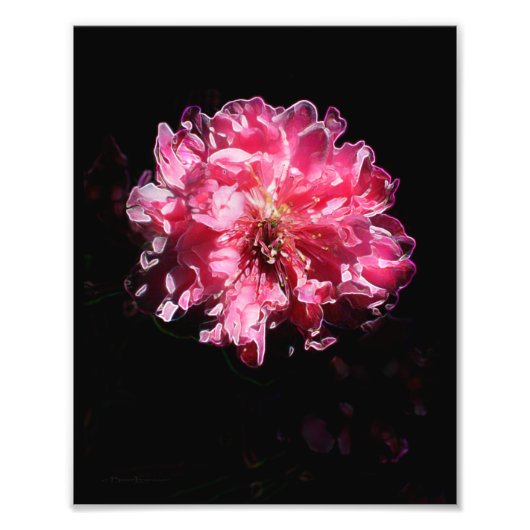 桃の花 フォトプリント            (正面)