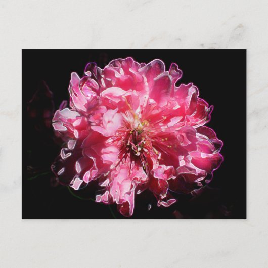 桃の花 ポストカード (正面)