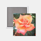 桃の花 マグネット (正面/裏面)