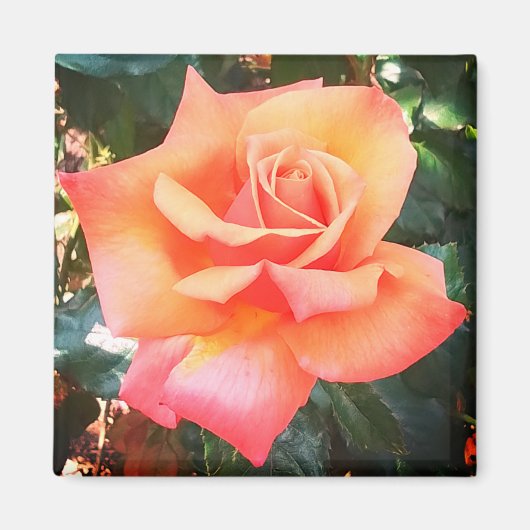 桃の花 マグネット (正面)