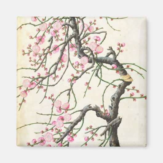 桃の花(紙色) マグネット (正面)