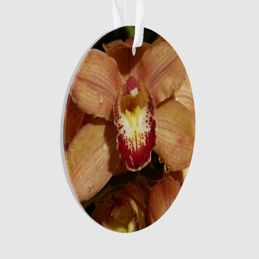 桃の蘭と雨滴フローラ オーナメント (正面)