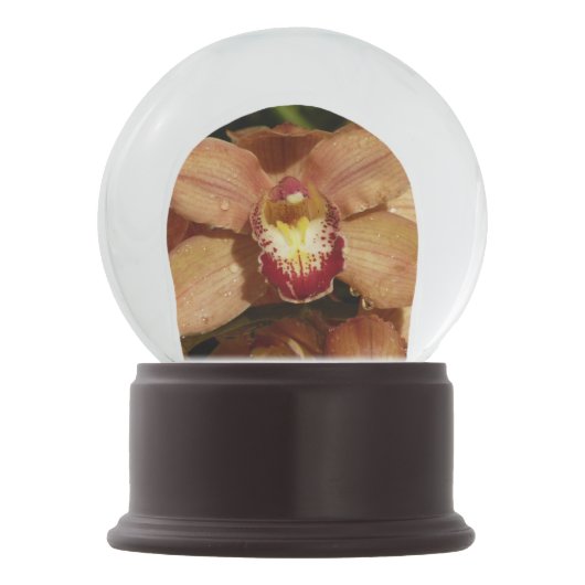 桃の蘭と雨滴フローラ スノーグローブ (裏面)