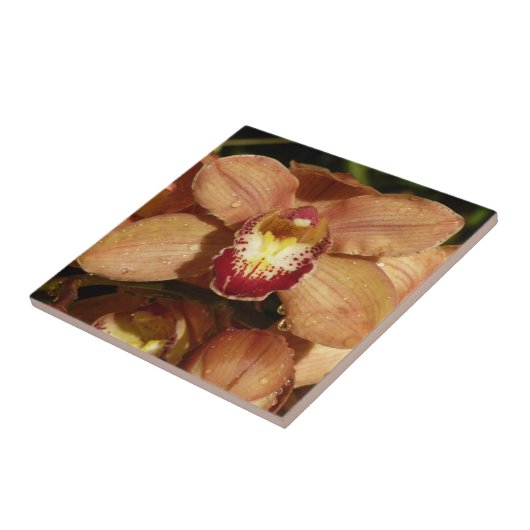 桃の蘭と雨滴フローラ タイル (側面)