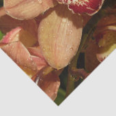 桃の蘭と雨滴フローラ 薄葉紙 (詳細)