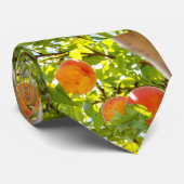 桃のMF ネクタイ (ロール)