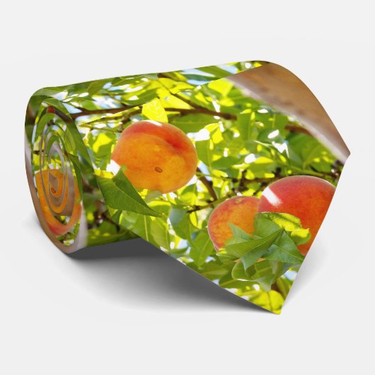 桃のMF ネクタイ (ロール)