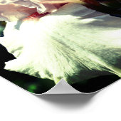 桃ひげひげアイリスフラワー2アップクローズ ポスター (角)