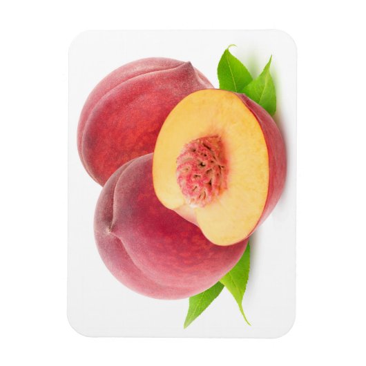 桃を切る マグネット (縦)